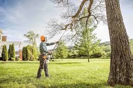  Newman, CA Tree Care Services Pros